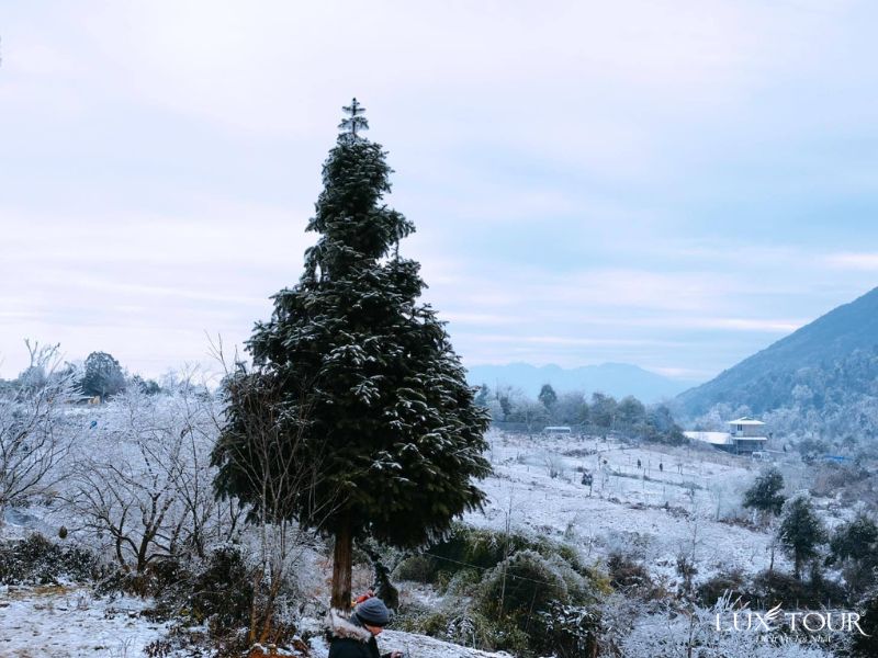 sapa-co-tuyet-khong-2.jpg (90 KB)