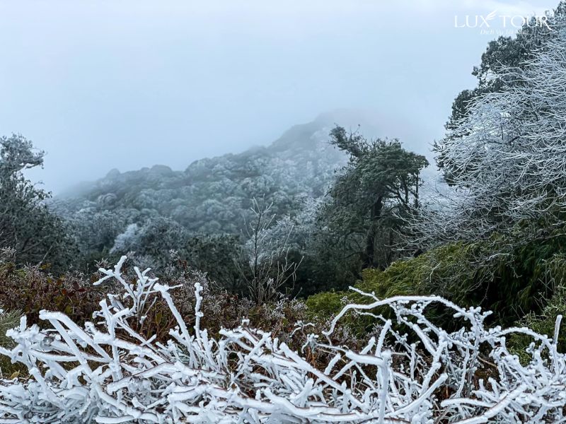 sapa-co-tuyet-khong-6.jpg (131 KB)