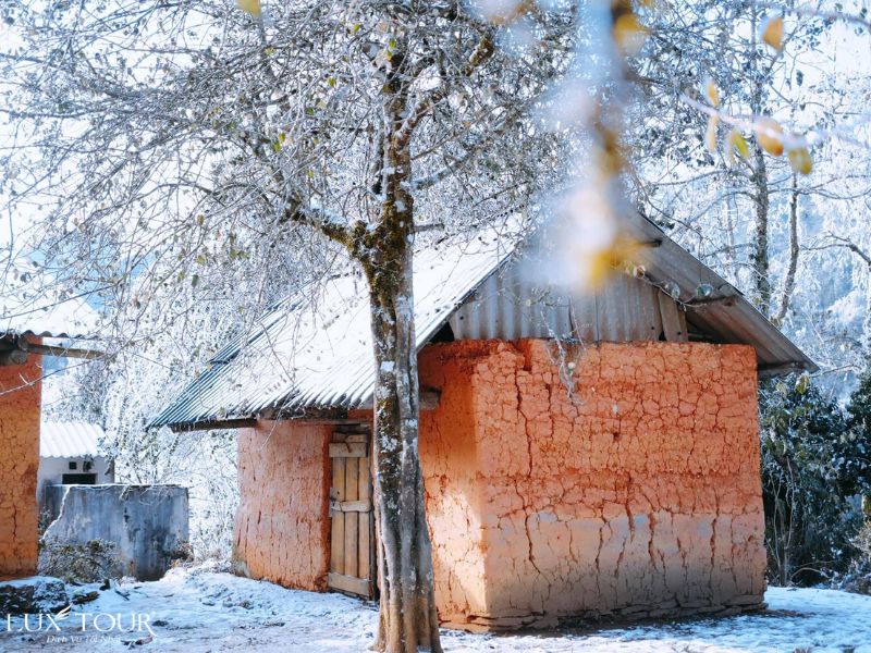 sapa-co-tuyet-khong-8.jpg (165 KB)