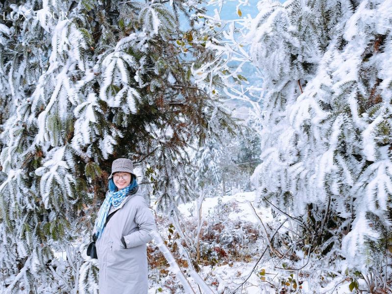 sapa-co-tuyet-khong-9.jpg (175 KB)