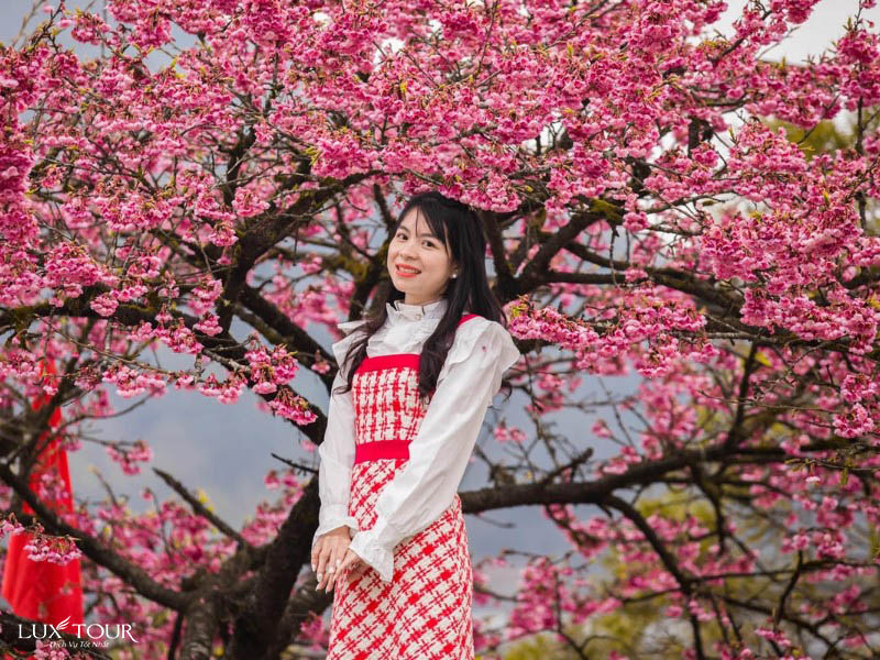 sapa-mua-hoa-anh-dao-4.jpg (184 KB)