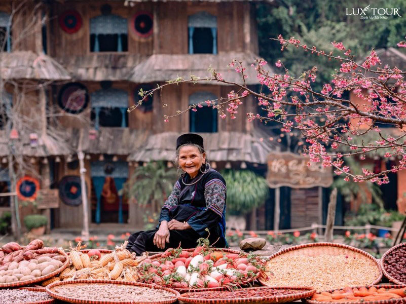 sapa-mua-hoa-anh-dao-bancatcat.jpg (182 KB)