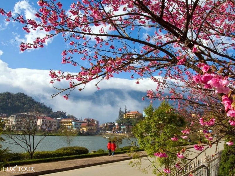 sapa-mua-hoa-anh-dao-hosapa.jpg (168 KB)