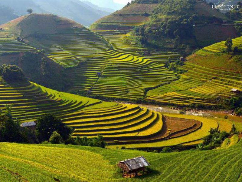 ban-lao-chai-sapa-mua-lua-chin.jpg (116 KB)