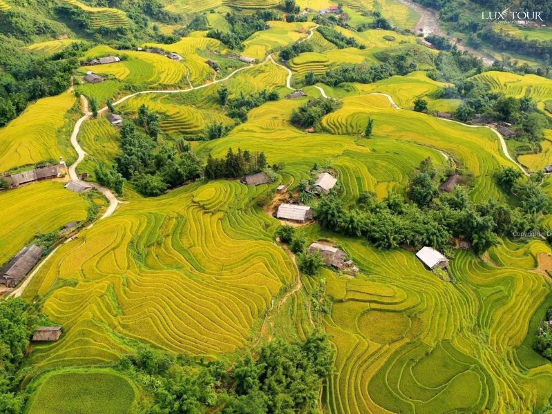 du-lich-sapa-mua-lua-chin.jpg (143 KB)