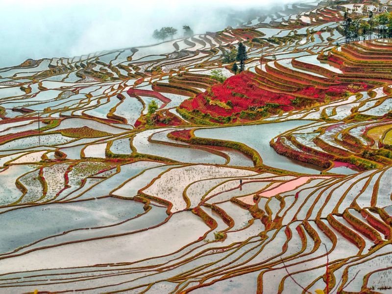 ban-cat-cat-sapa-mua-nuoc-do.jpg (148 KB)