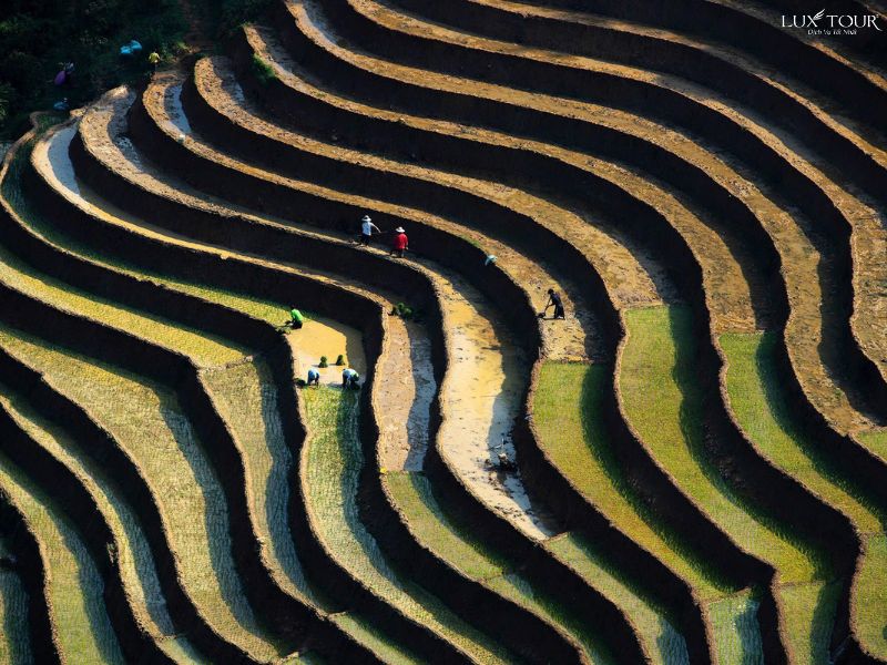 ruong-bac-thang-sapa-mua-nuoc-do.jpg (122 KB)