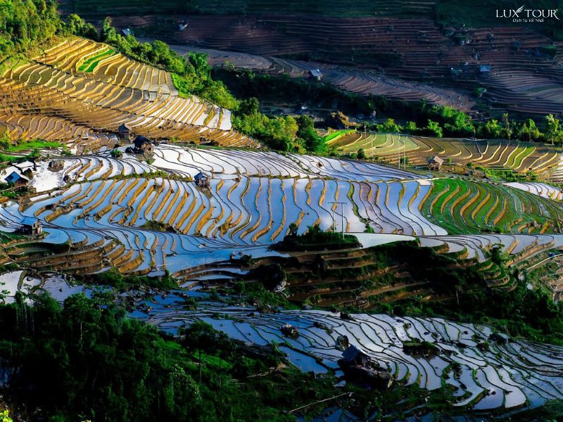 ve-dep-sapa-mua-nuoc-do.jpg (148 KB)