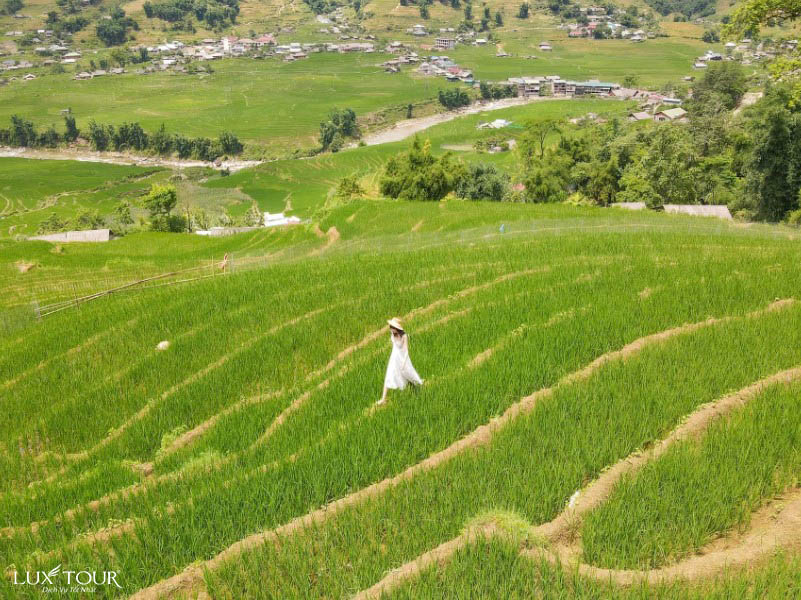 sapa-mua-thu-1.jpg (150 KB)