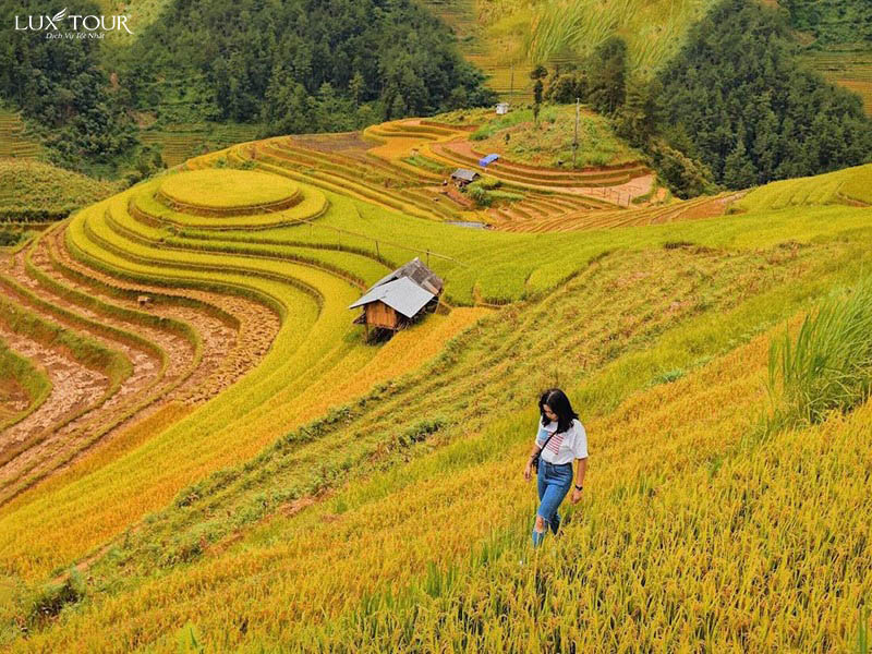 sapa-mua-thu-7.jpg (170 KB)