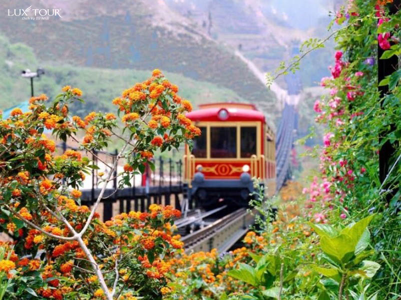 sapa-mua-xuan-4.jpg (148 KB)