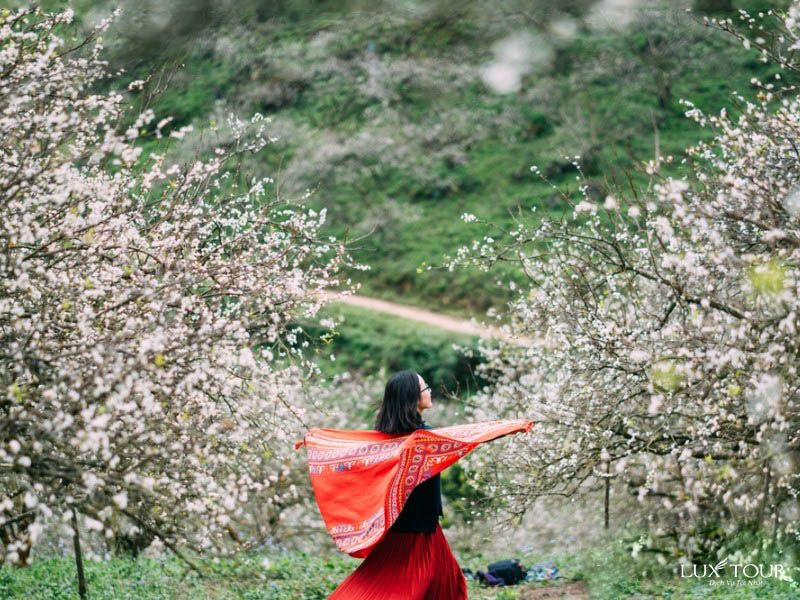 sapa-mua-xuan.jpg (158 KB)