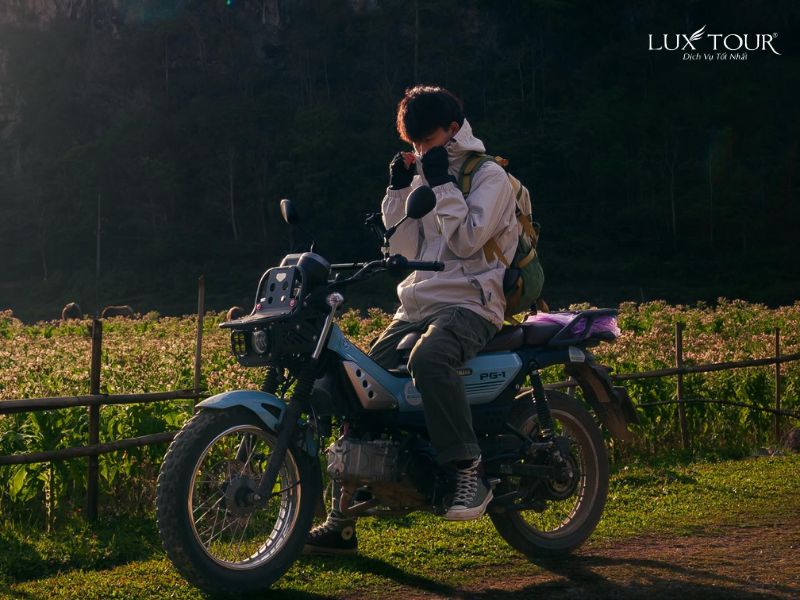 sapa-thang-10-11.jpg (92 KB)