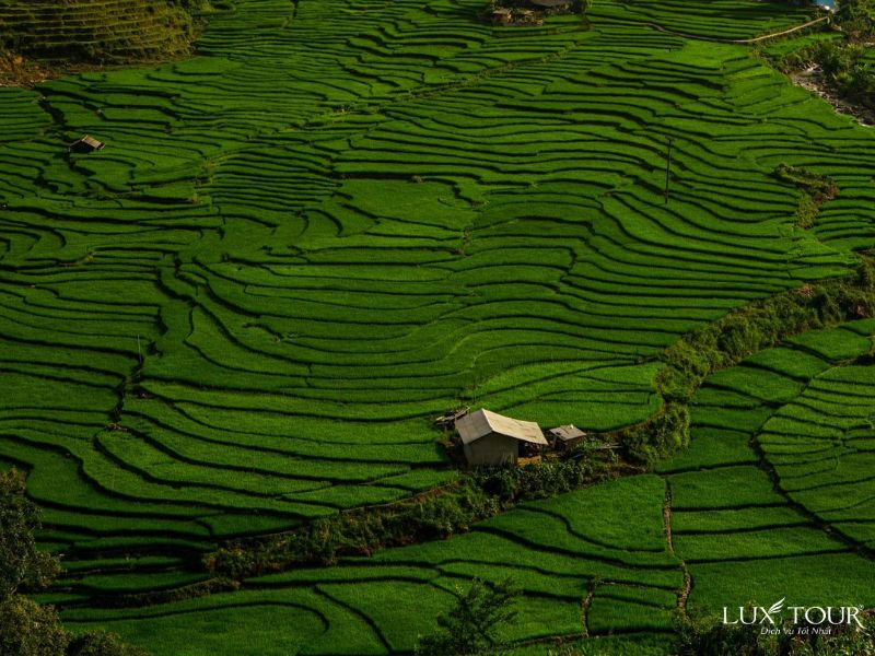 sapa-thang-10-7.jpg (112 KB)