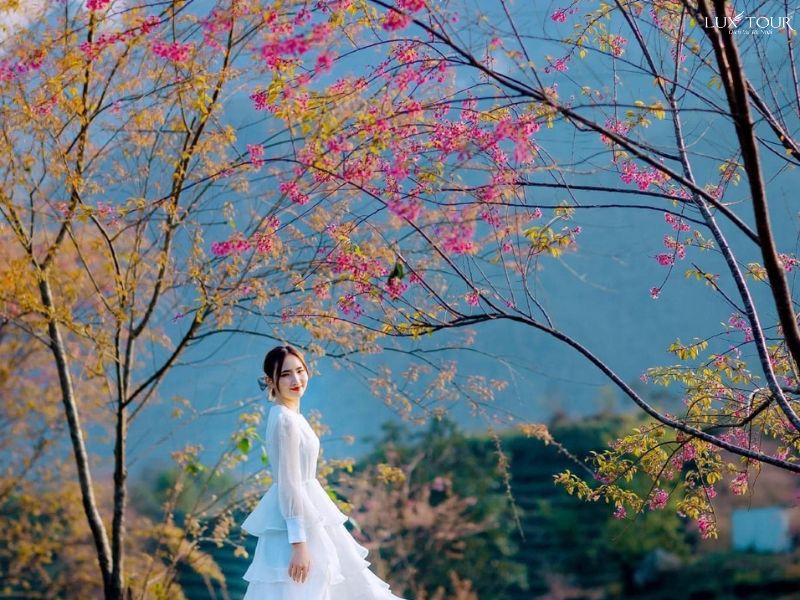 du-lich-sapa-thang-12-2.jpg (121 KB)