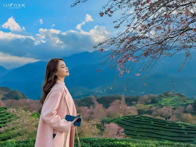 hoa-dao-sapa-thang-12.jpg (104 KB)