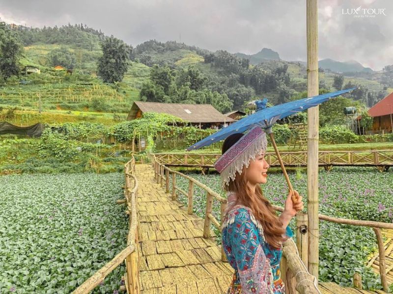 ban-cat-cat-sapa-thang-2.jpg (137 KB)