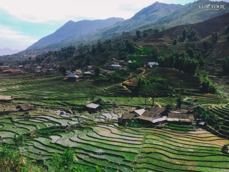 review-sapa-thang-3.jpg (106 KB)