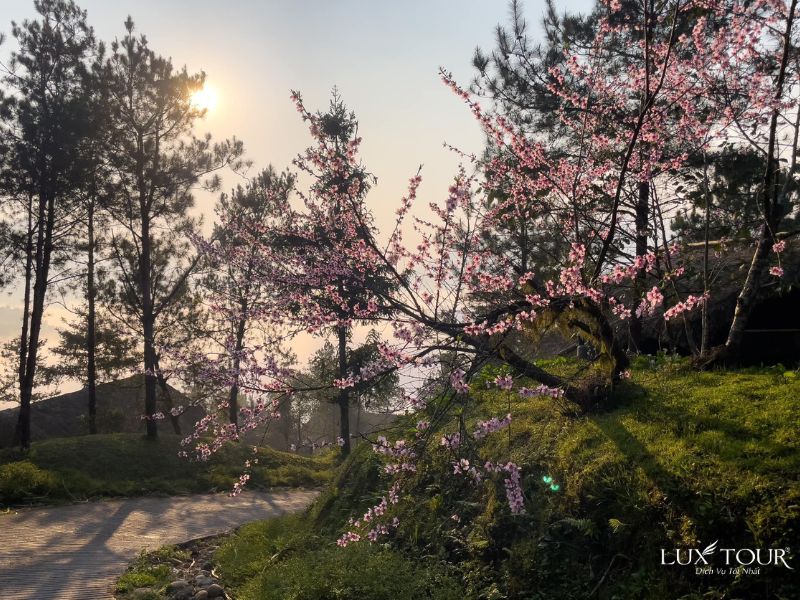 sapa-thang-4-1.jpg (154 KB)