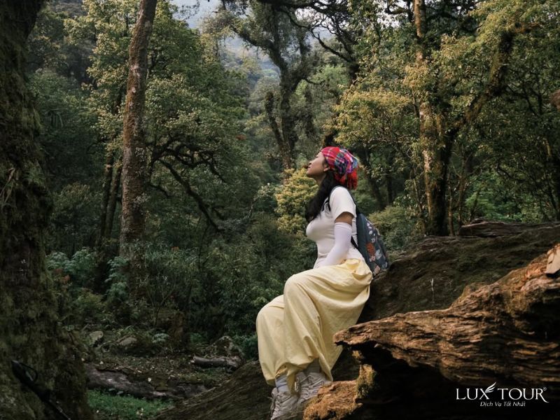 sapa-thang-4-2.jpg (124 KB)