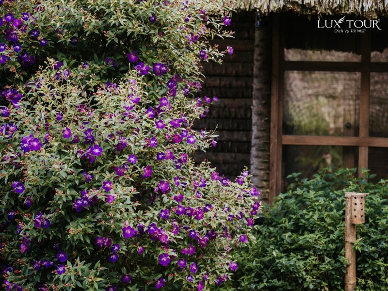 sapa-thang-4-3.jpg (156 KB)