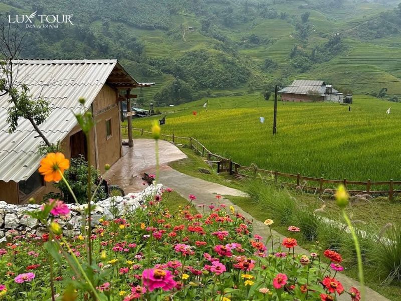 sapa-thang-5-19.jpg (139 KB)