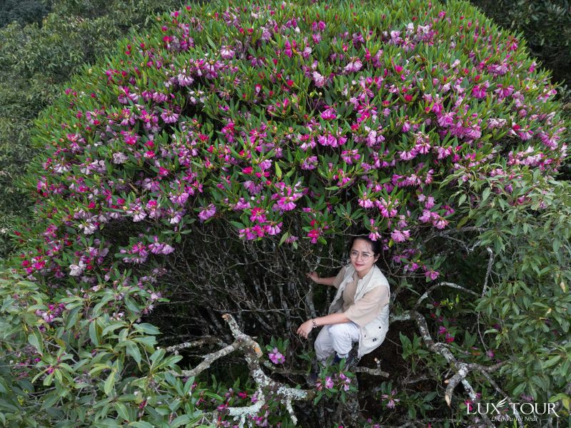 sapa-thang-5-4.jpg (174 KB)