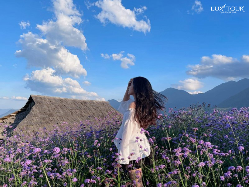 sapa-thang-6-3.jpg (182 KB)