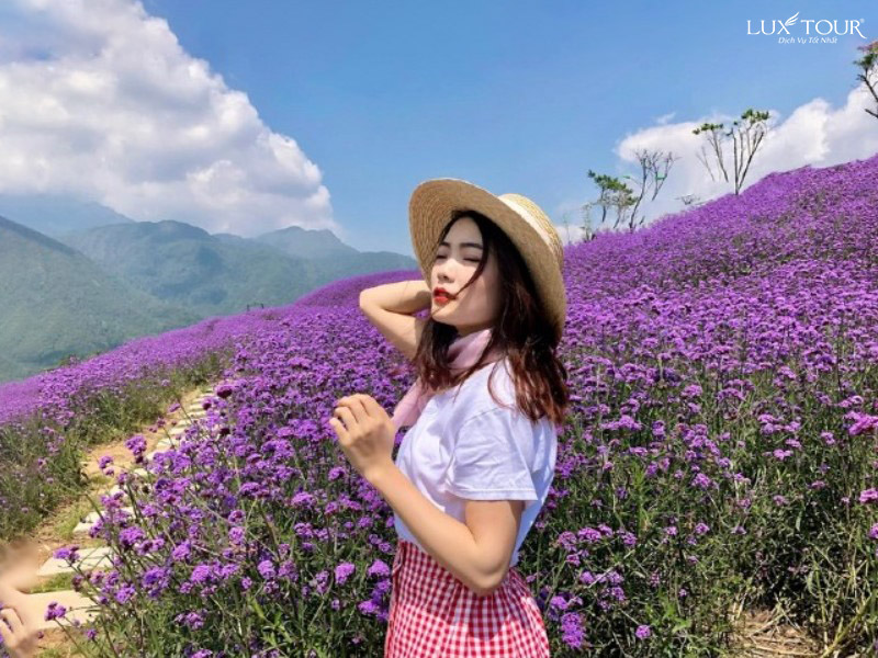 sapa-thang-6.jpg (196 KB)