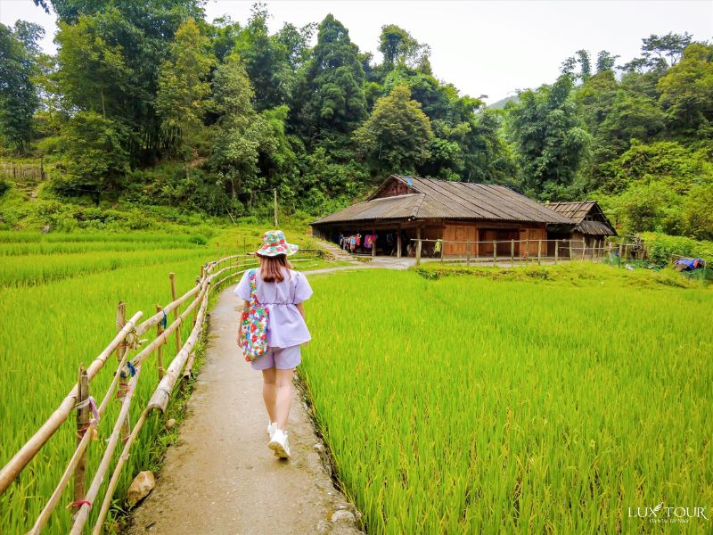 review-sapa-thang7.jpg (140 KB)