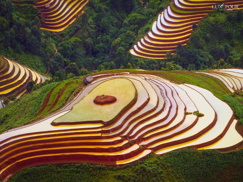 ruong-bac-thang-mua-nuoc-do-sapa-thang-7.jpg (132 KB)