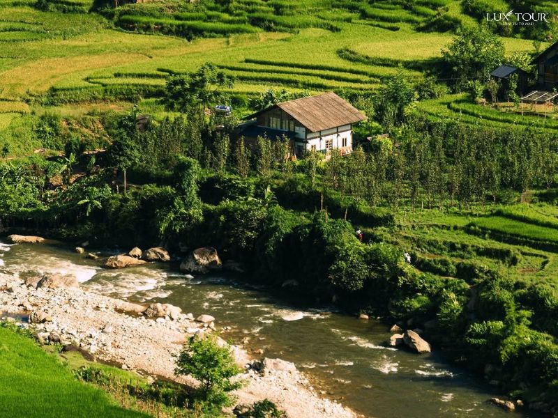 thung-lung-muong-hoa-sapa-thang7.jpg (155 KB)