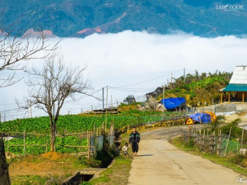 ban-hau-thao-sapa-thang-9.jpg (97 KB)