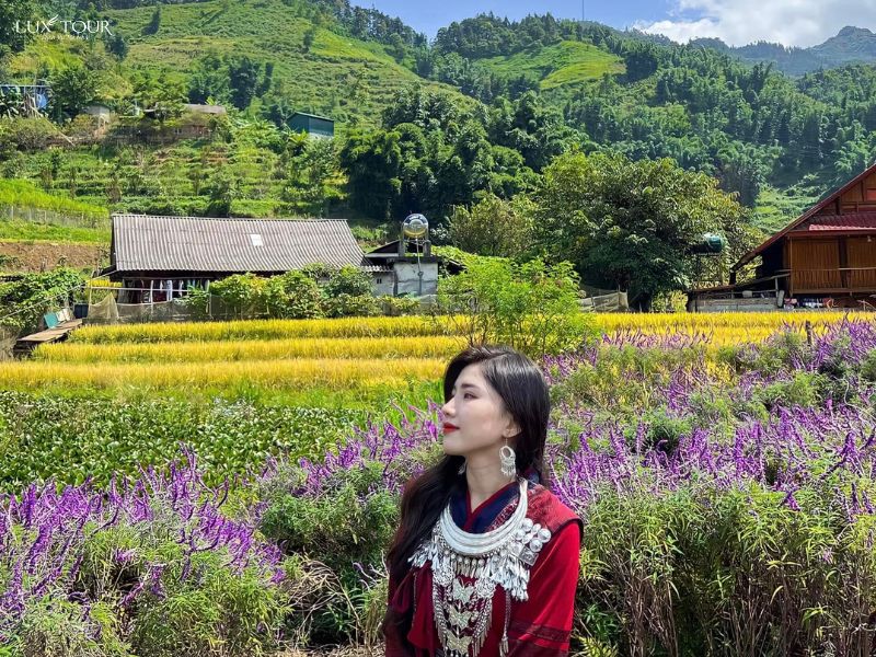 du-lich-sapa-thang-9.jpg (200 KB)