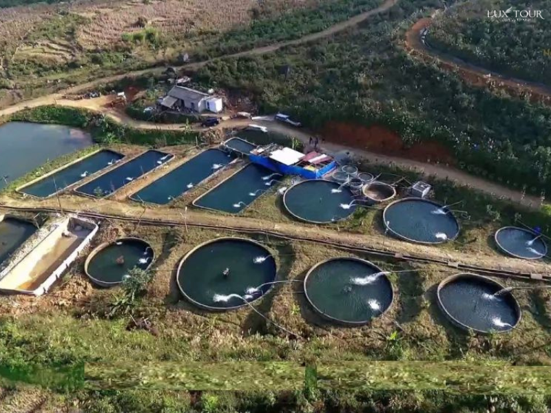 trai-nuoi-ca-hoi-thac-bac-sapa.png (863 KB)