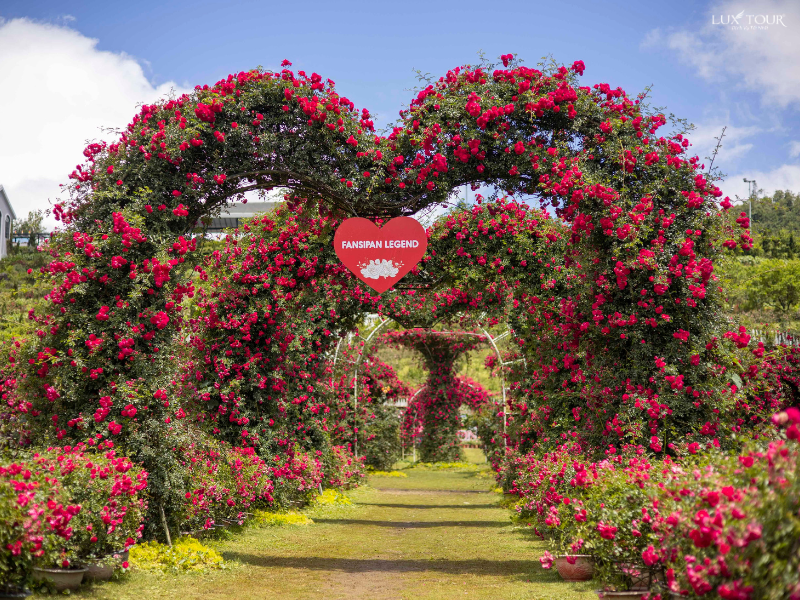 cong-vom-trai-tim-thung-lung-hoa-hong-sapa.png (1018 KB)