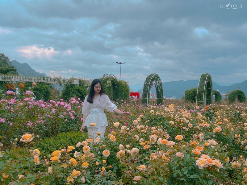 khu-vuon-hong-co-kien-truc-chau-au-thung-lung-hoa-hong-sapa-4.png (800 KB)