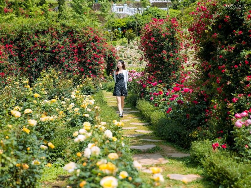 khu-vuon-thung-lung-hoa-hong-sapa.png (1.01 MB)