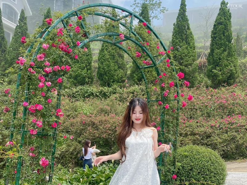 thung-lung-hoa-hong-sapa-8.png (1.08 MB)