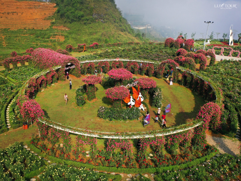 thung-lung-hoa-hong-sapa.png (1.01 MB)