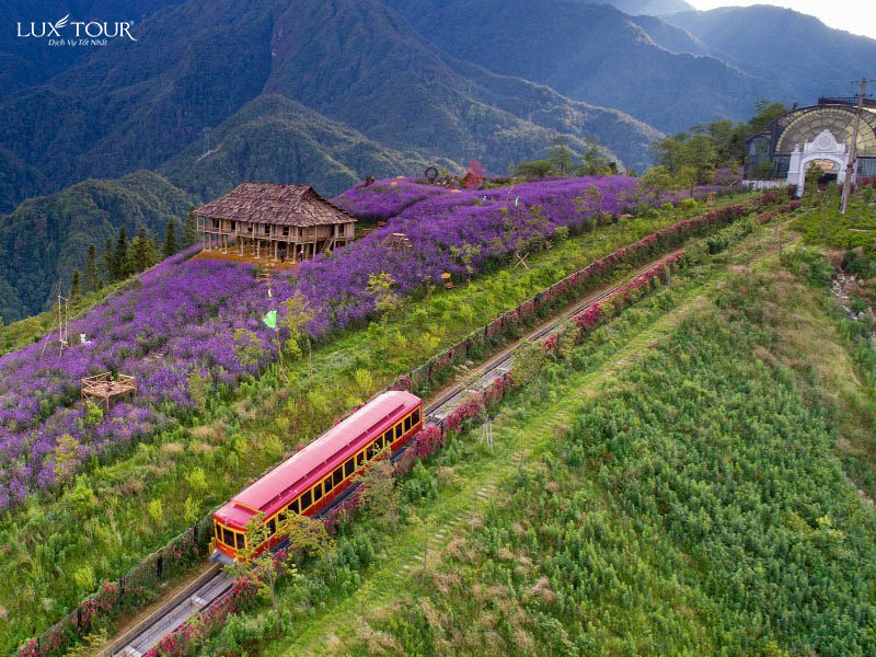 thung-lung-muong-hoa.jpg (171 KB)