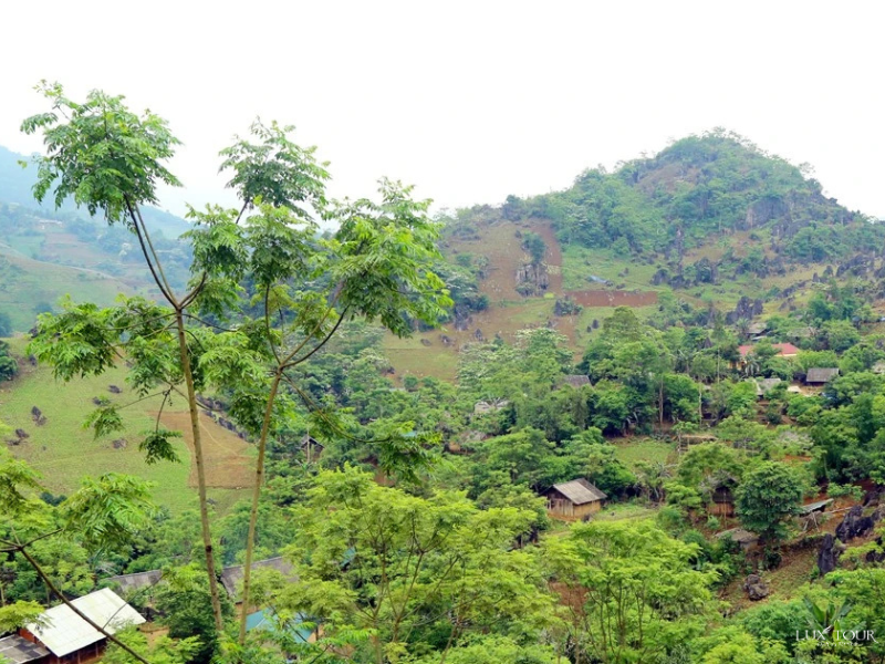 po-si-ngai-trung-chai-sapa.png (790 KB)