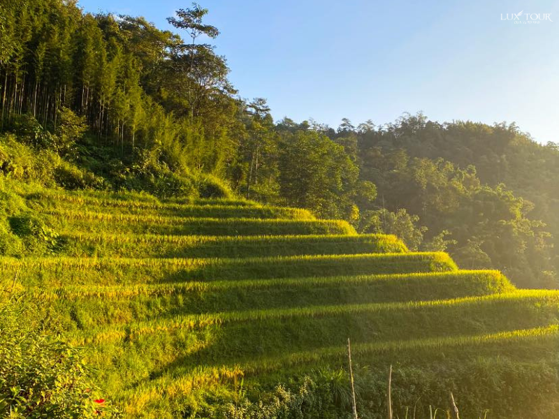 trung-chai-sapa-5.png (810 KB)