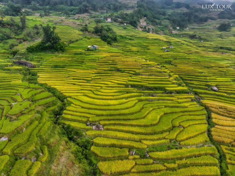 y-ty-co-gi-dep-1.jpg (546 KB)