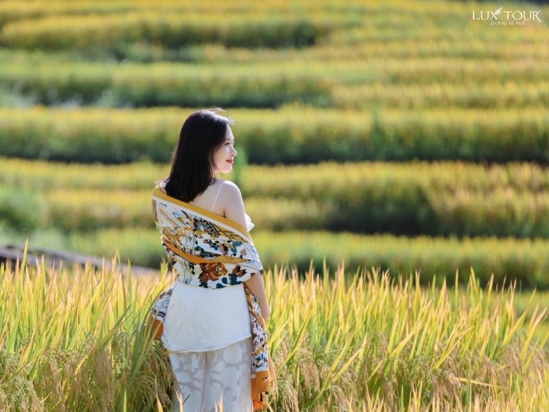 y-ty-co-gi-dep-10-2.jpg (361 KB)