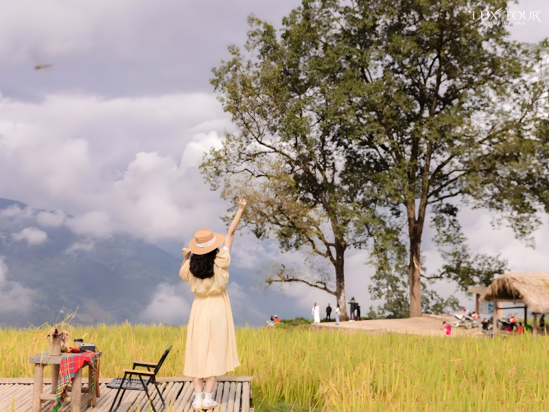 y-ty-co-gi-dep-14.jpg (419 KB)