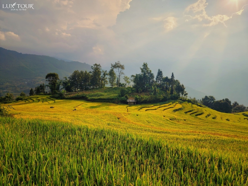 y-ty-co-gi-dep-2.jpg (417 KB)