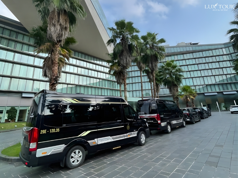 y-ty-co-gi-dep-3.jpg (410 KB)