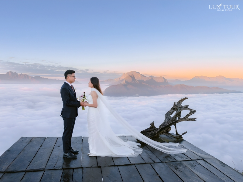 y-ty-co-gi-dep-4.jpg (258 KB)