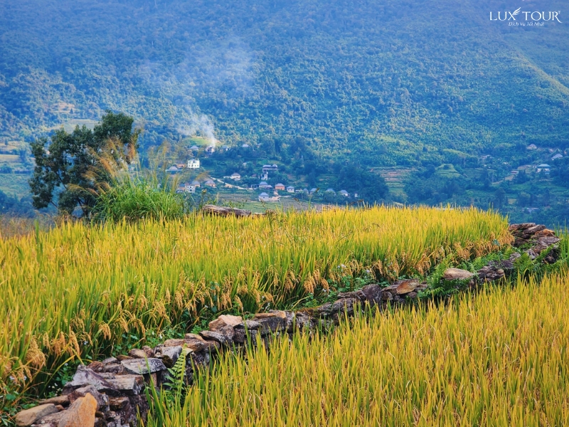 y-ty-co-gi-dep-6.jpg (565 KB)